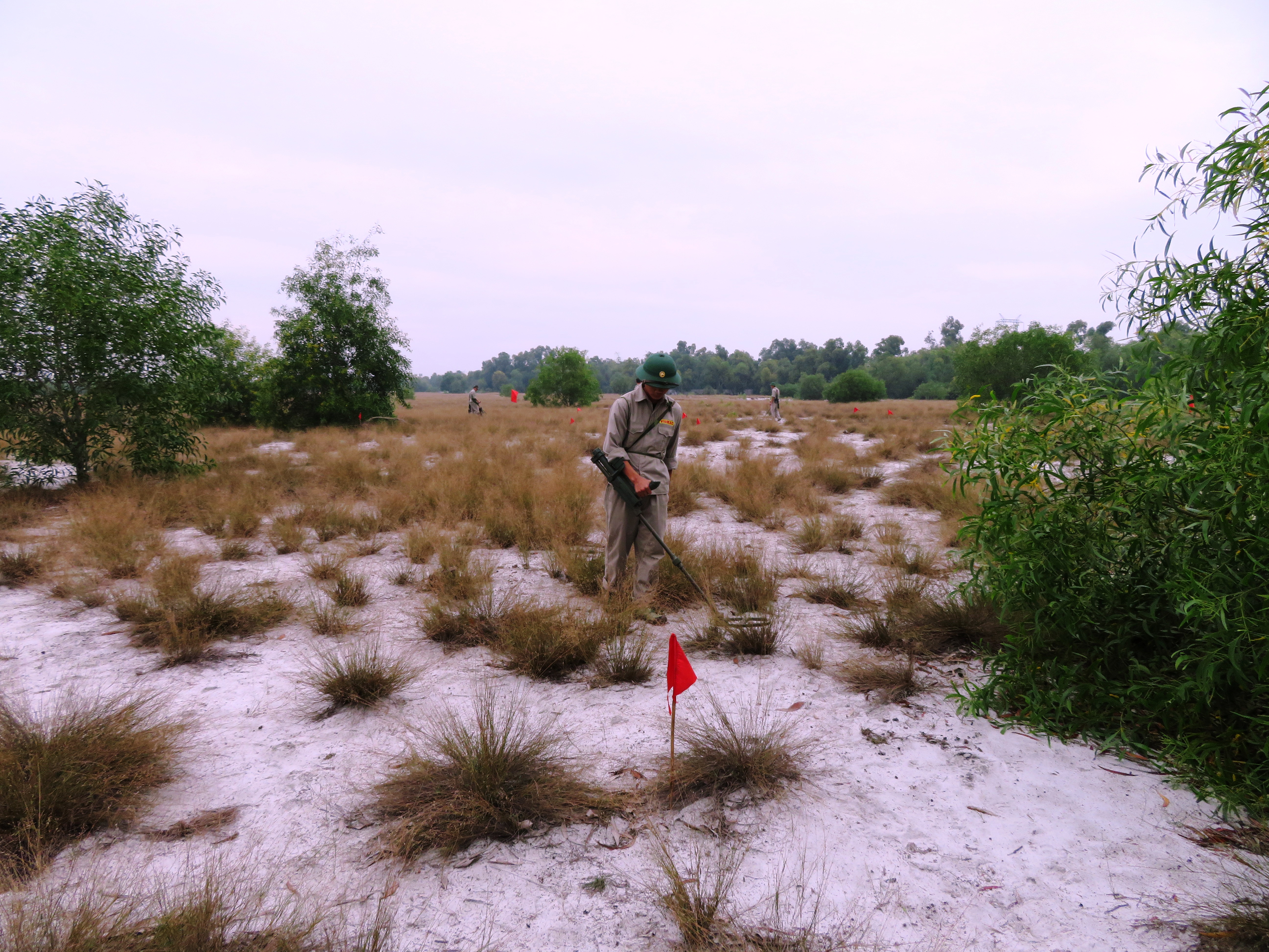 Chung tay trả lại sự bình yên cho đất